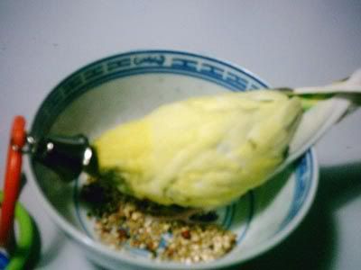 PIC00006a.jpg
