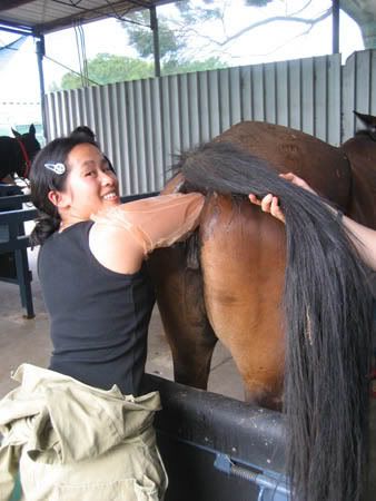 IMG_1986.jpg