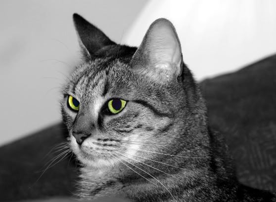 IMAGE: http://i8.photobucket.com/albums/a14/jonstickles/grace.jpg