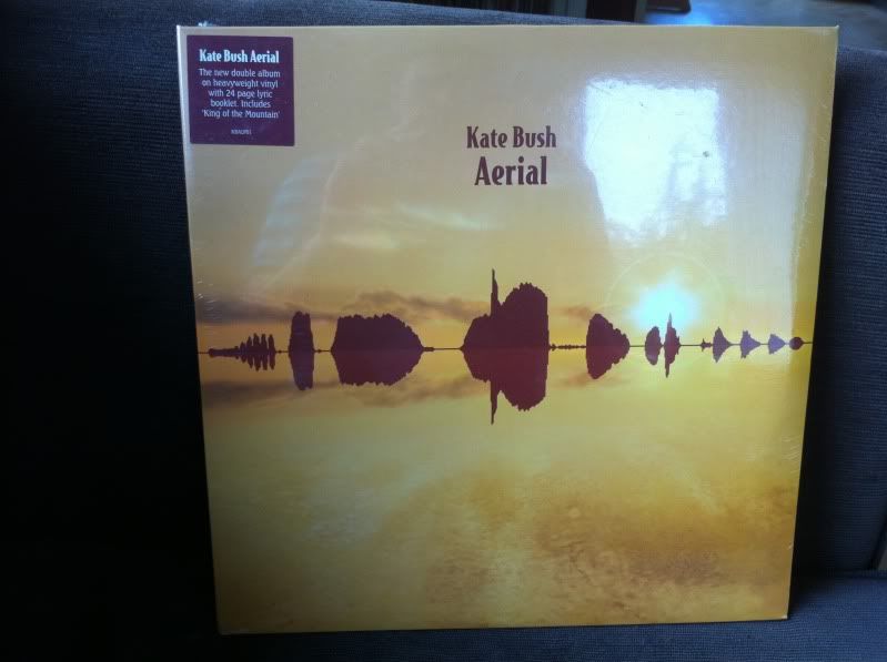kate bush - Aerial Record