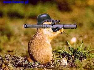 bazooka.jpg