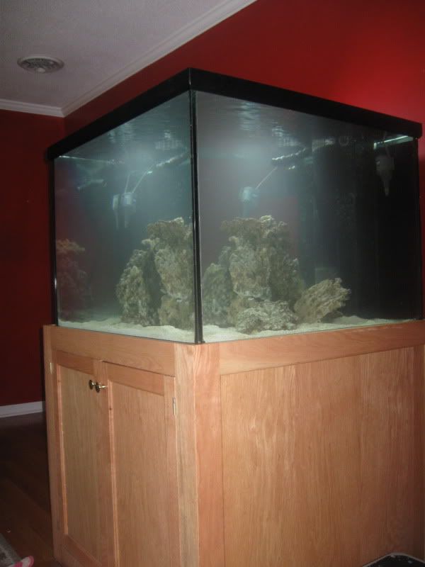 IMG 1240 1 - Heidi's 150g cube