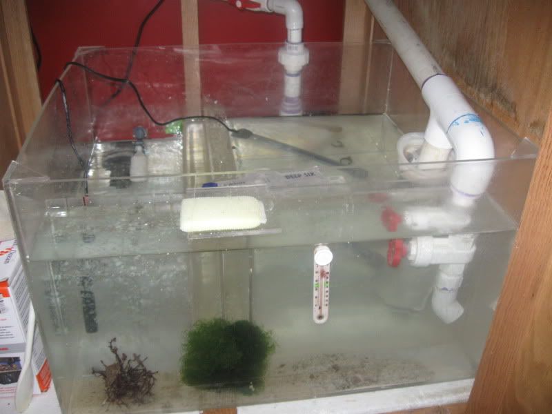 IMG 1243 1 - Heidi's 150g cube