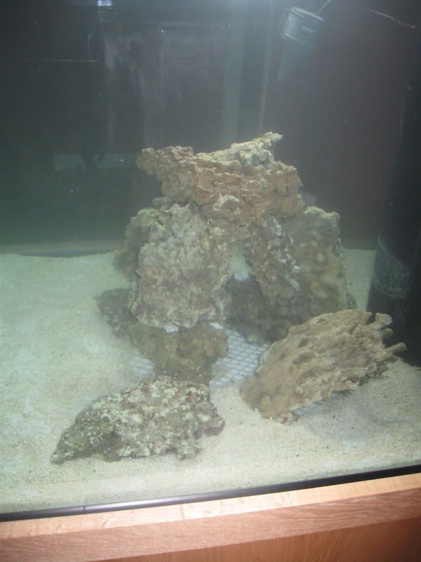 IMG 1244 1 - Heidi's 150g cube