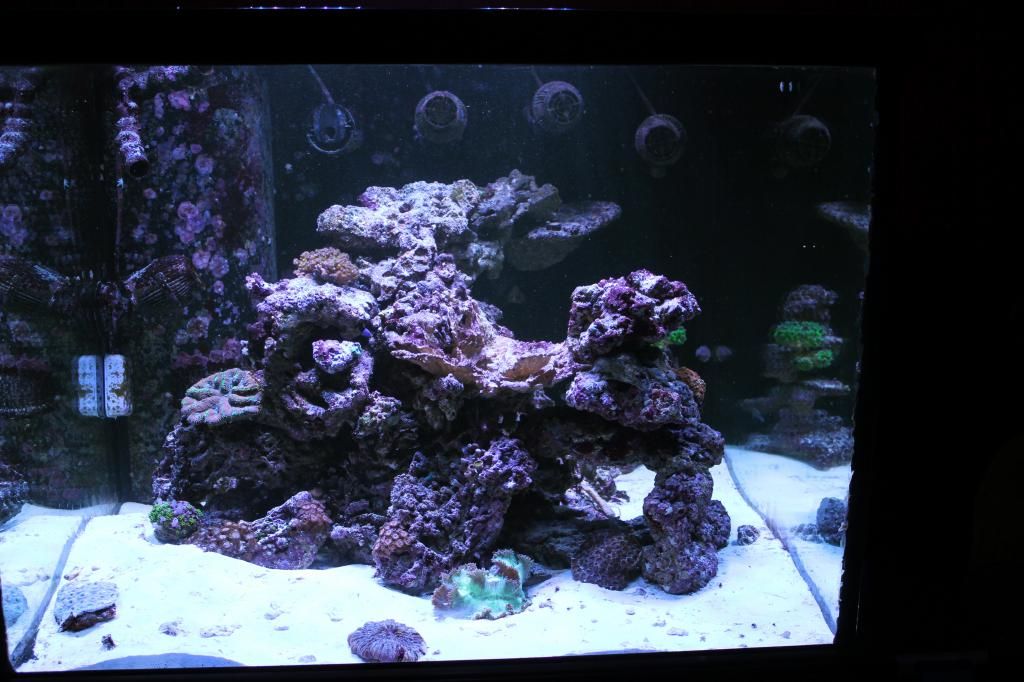 IMG 2646 - Heidi's 150g cube
