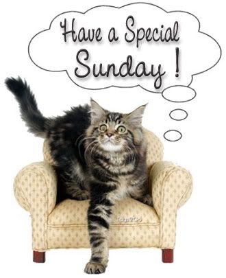 HaveSpecialSunday.jpg picture by Daria516
