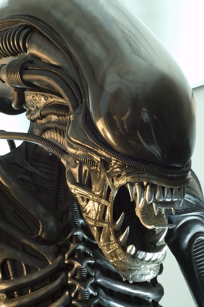 alien_005.jpg