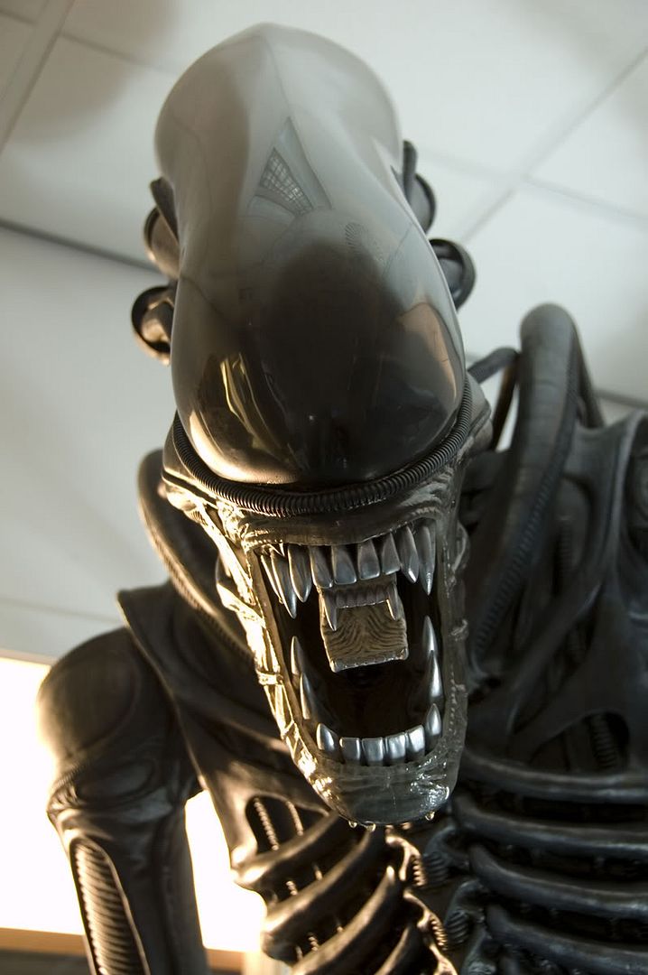 alien_008.jpg