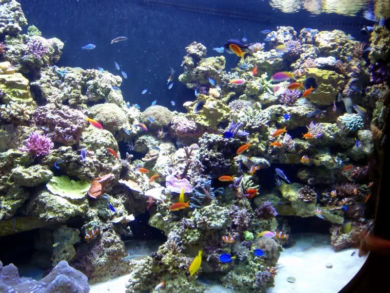 FTS2.jpg