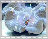 th_P9270220.jpg