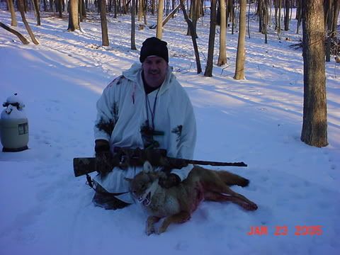 coyote1.jpg