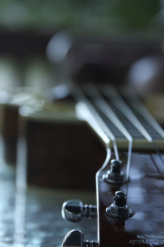 Ukulele in the afternoon shade
