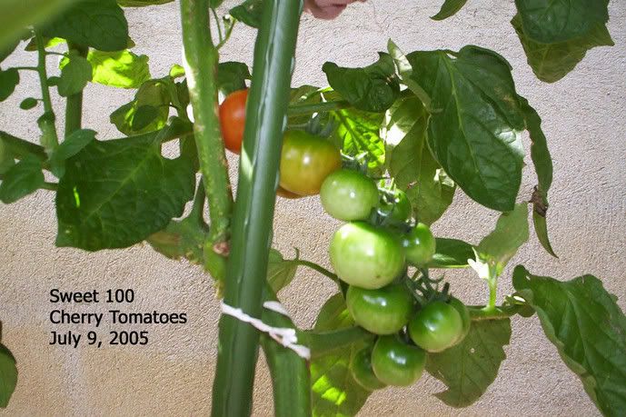 Image hosting by Photobucket