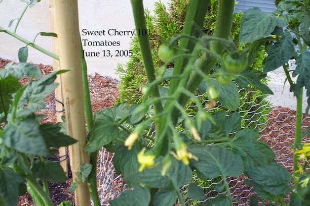 Image hosting by Photobucket