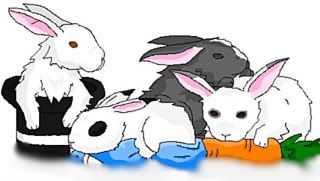 http://i8.photobucket.com/albums/a18/Delasangre/Contest/Rabbit-1-1.jpg?t=1247781642