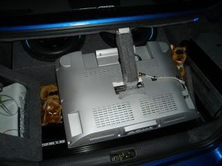 pic13.jpg