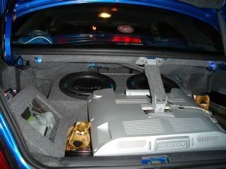 pic15.jpg
