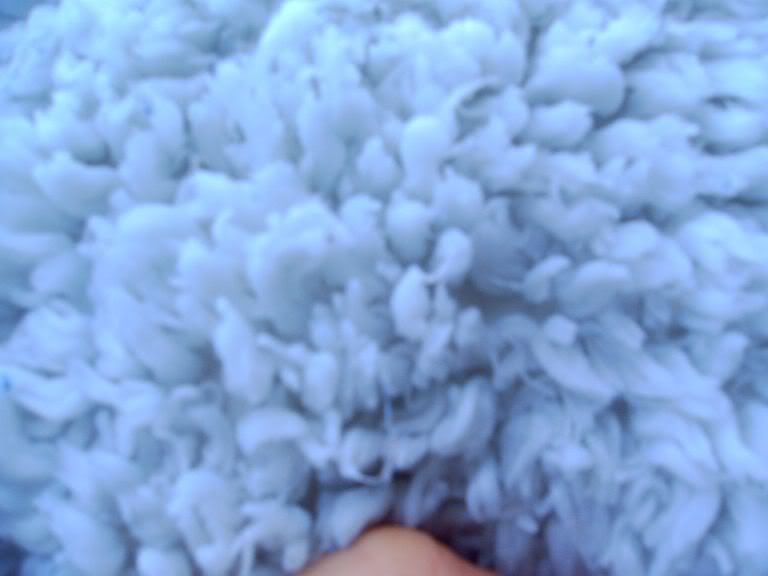 IMAG0028.jpg