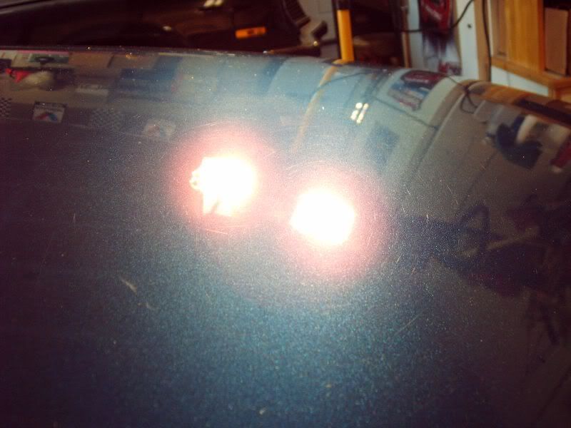 IMAG0011.jpg