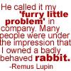 Remus Lupin Avatar