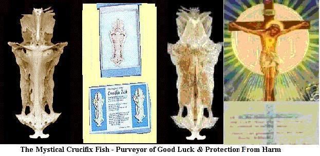 crucifix fish jesus vision Image hosted by Photobucket.com