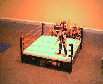 Image hosted by Photobucket.com