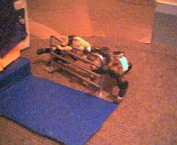 Image hosted by Photobucket.com