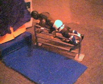 Image hosted by Photobucket.com