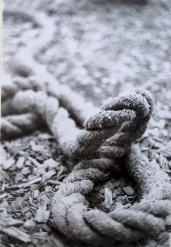 RachelsFolder128.jpg rope photo image by coodley