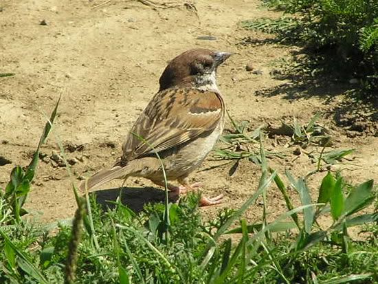 Image hosted by Photobucket.com