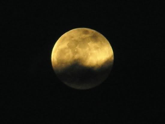 Image hosting by Photobucket