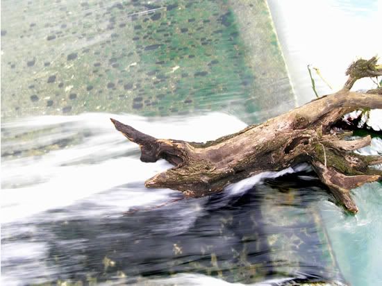 Image hosting by Photobucket