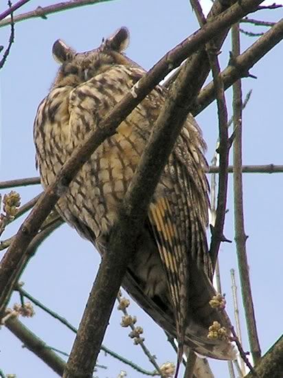 Image hosting by Photobucket