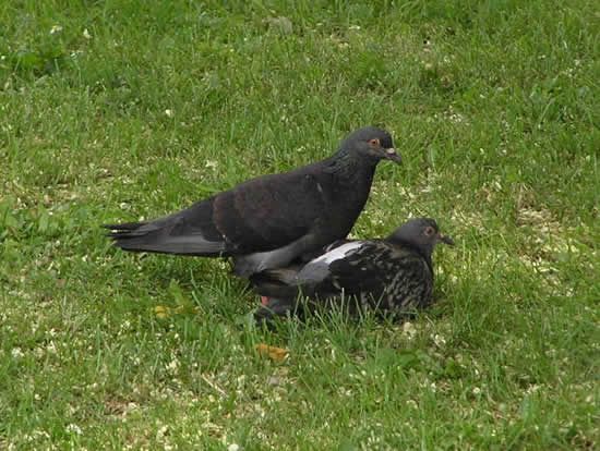 Image hosted by Photobucket.com