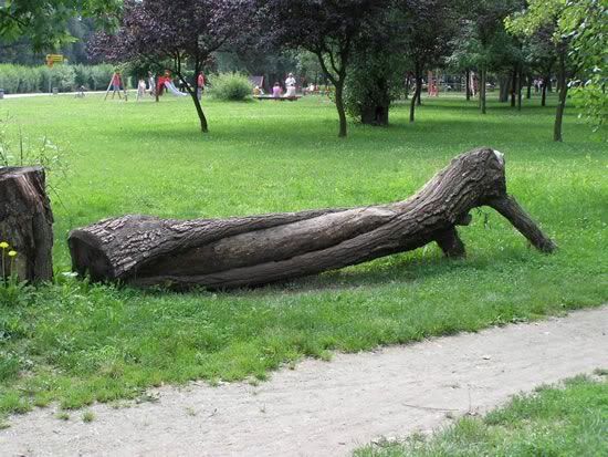 Image hosted by Photobucket.com