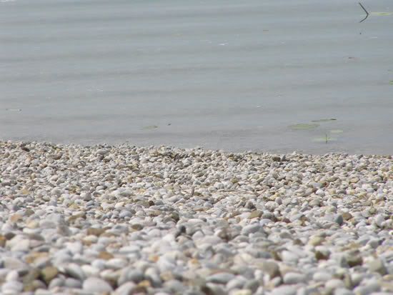 Image hosted by Photobucket.com