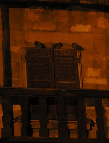 Image hosted by Photobucket.com