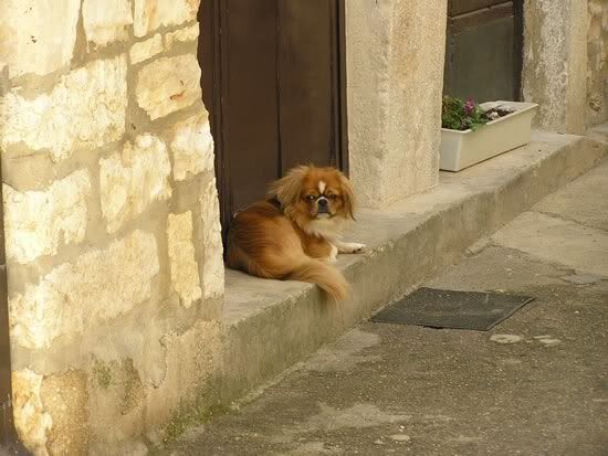 Image hosted by Photobucket.com