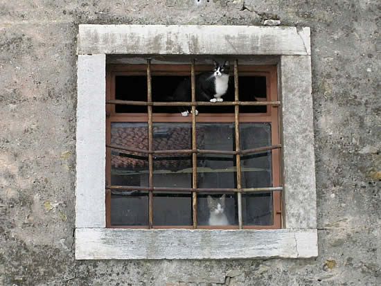 Image hosted by Photobucket.com