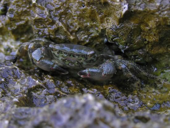 Image hosted by Photobucket.com