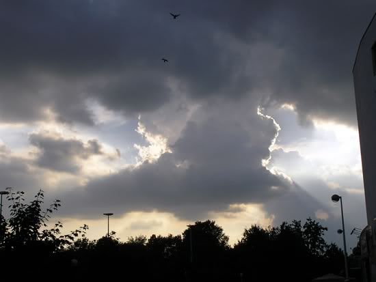 Image hosted by Photobucket.com