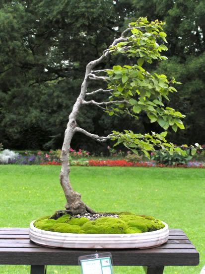 Image hosted by Photobucket.com