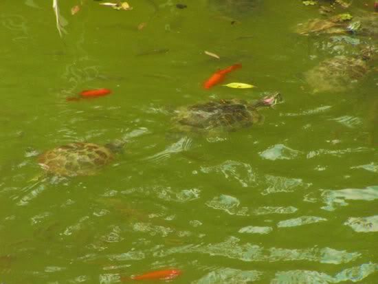 Image hosted by Photobucket.com