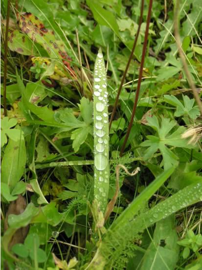 Image hosted by Photobucket.com