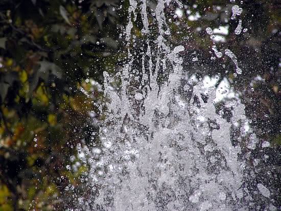 Image hosted by Photobucket.com