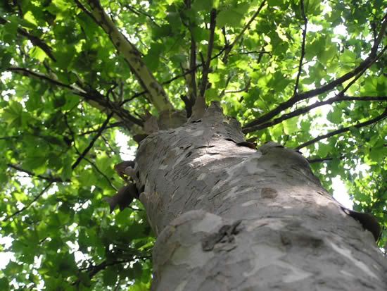 Image hosted by Photobucket.com