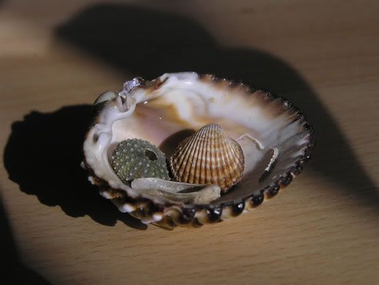 Image hosted by Photobucket.com