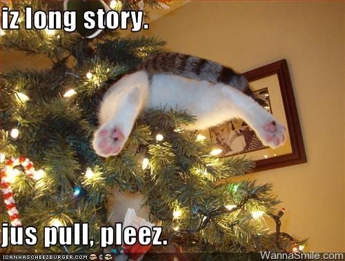  photo 855f_funny-pictures-cat-is-stuck-in-your-christmas-tree_zpsztomxwut.jpg