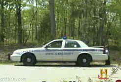 photo 1263383181_vertically_challenged_cop.gif