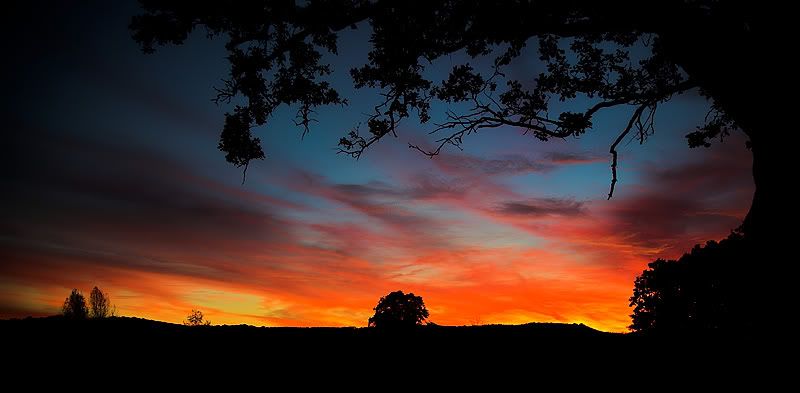 IMAGE: http://i8.photobucket.com/albums/a20/juz13/Landscape/nightfall.jpg